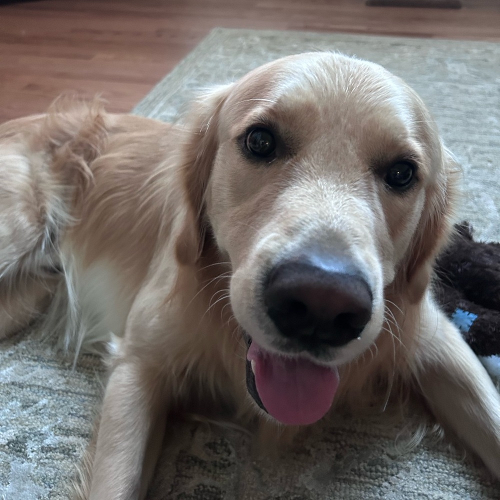 Meet your Posher, Jordan